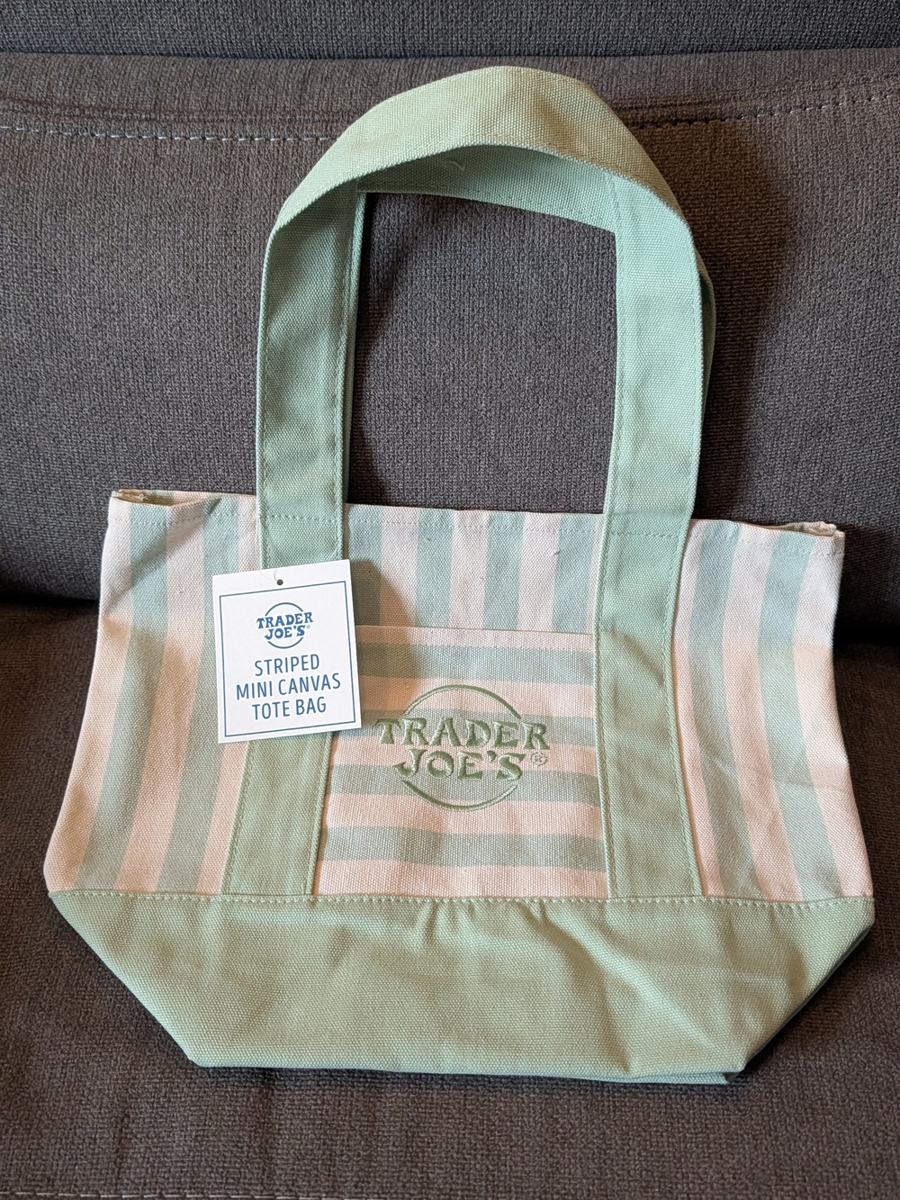 Trader Joe's Mint Green Striped Mini Canvas Tote